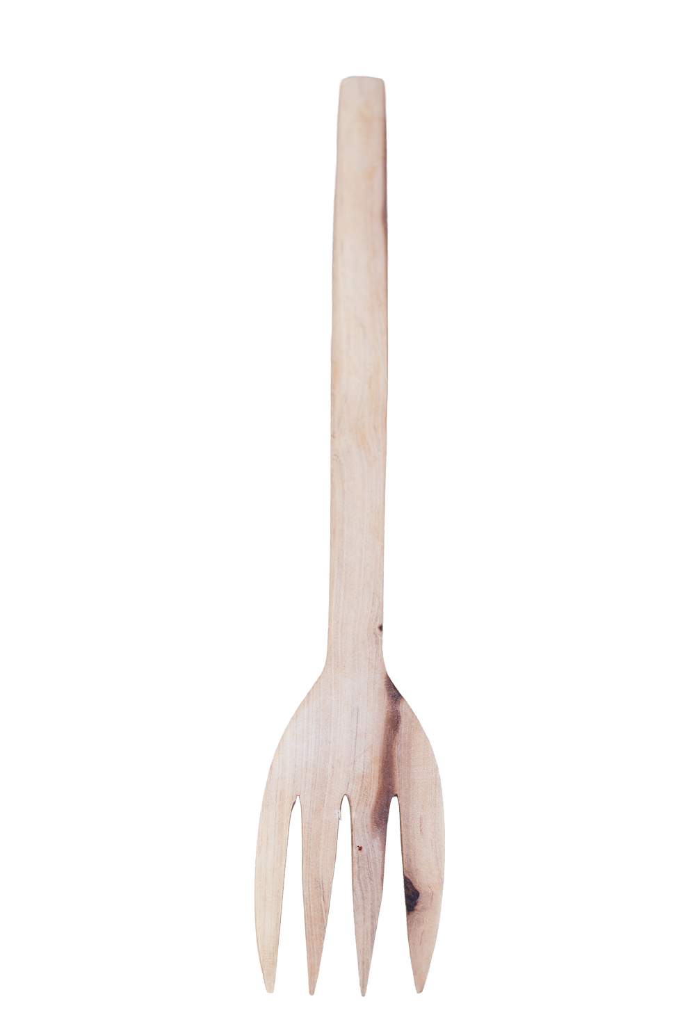 DSC05663.png