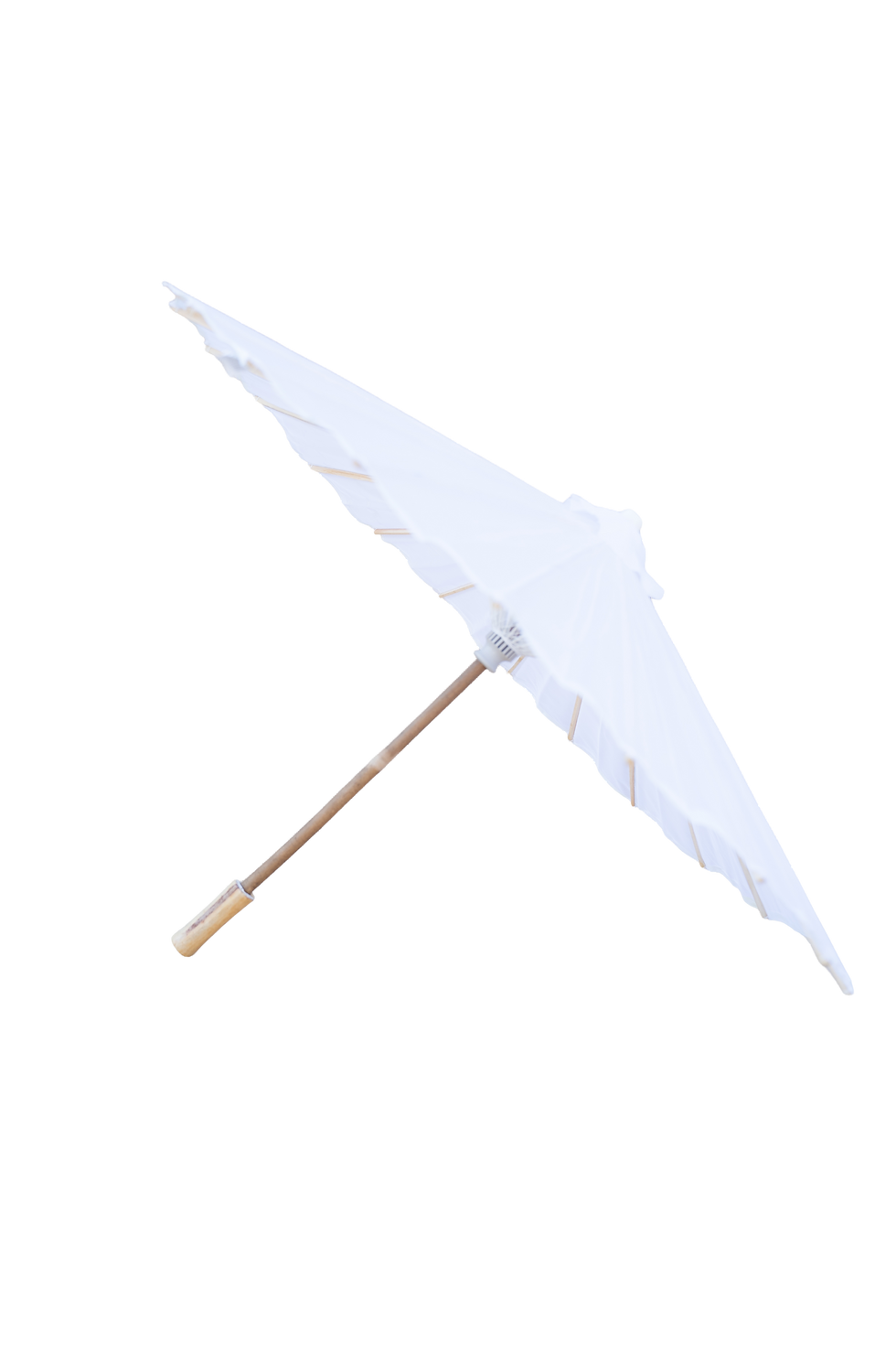DSC06143.png