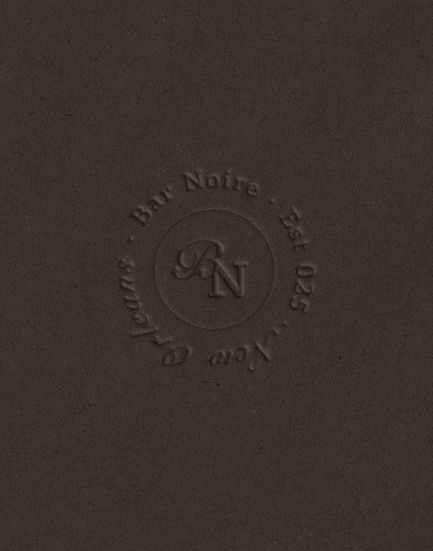 Bar Noire logo suite in dark khaki and black colorway — Maison Brand Kit semi-custom brand identity by Studio Ruby Signorelli