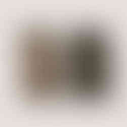 Cohesive packaging and stationery system by Ruby Signorelli Studio — refined design built for lasting brand recognition.