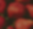 Erdbeerparadies-Bild-1.png