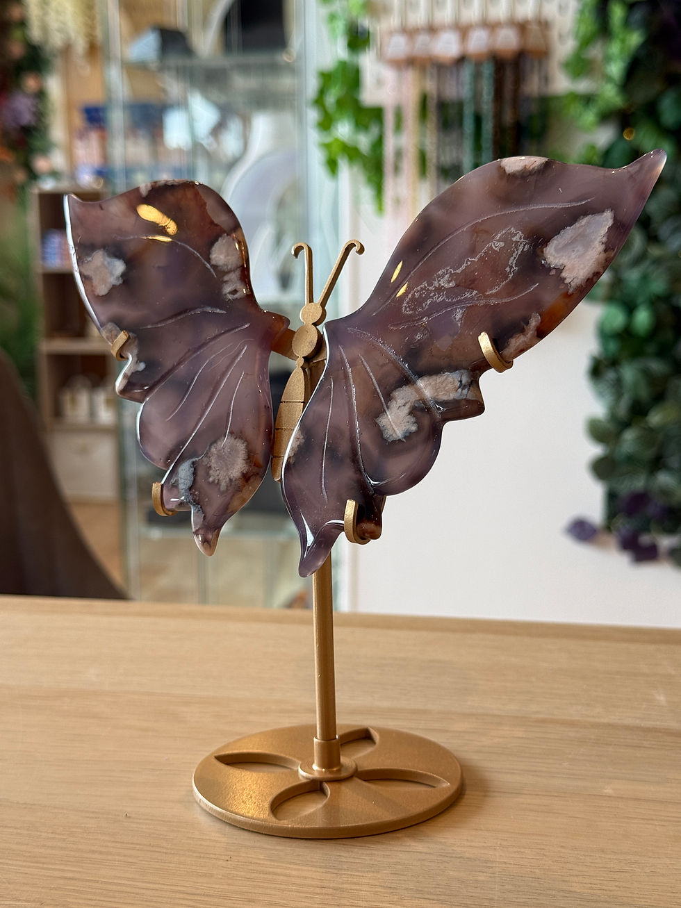 Thumbnail: Blue Flower Agate Butterfly Wings on Stand - 19cm x 20cm - 332g