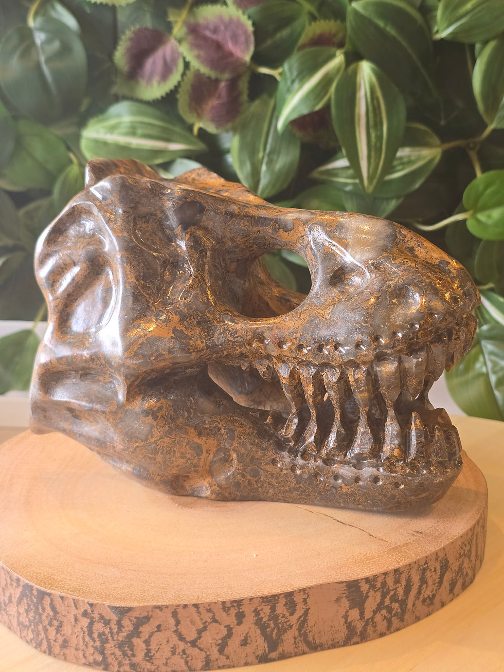 Thumbnail: Jasper T-Rex Skull - 1.98kg - 17cm x 12cm x11cm