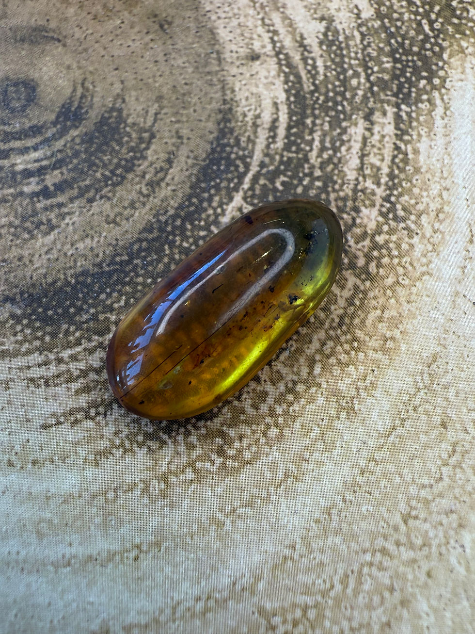Thumbnail: 1.3g Burmese Amber with very nice wasp inclusion with stripes noticeable