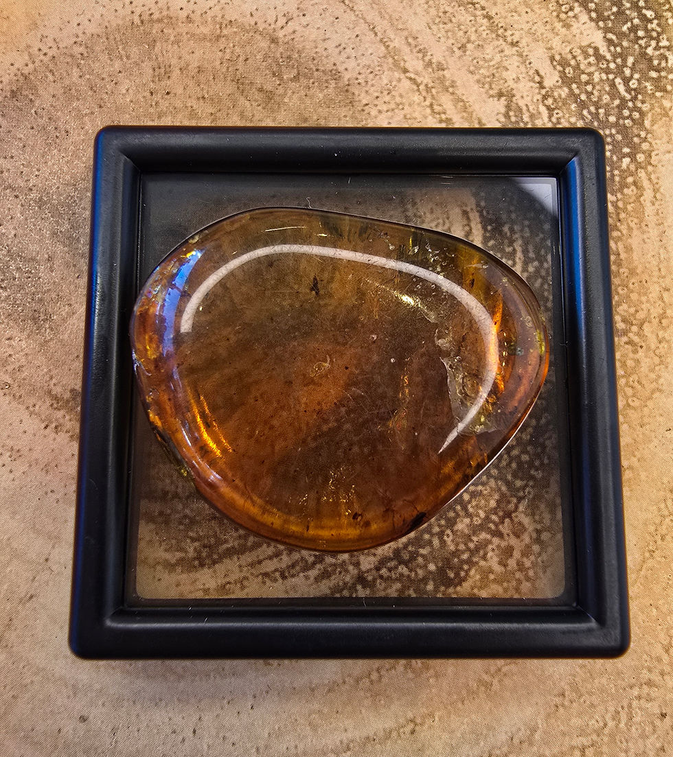 Thumbnail: 3.2g Burmese Amber with Beetle and many Fly Inclusions - circa 100 million years