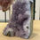 Thumbnail: Amethyst (Brazil) Cutbase Cluster - 15 x 11 x 12cm  - 1.93kg