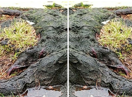 20240202_152529 (1)_edited.jpg