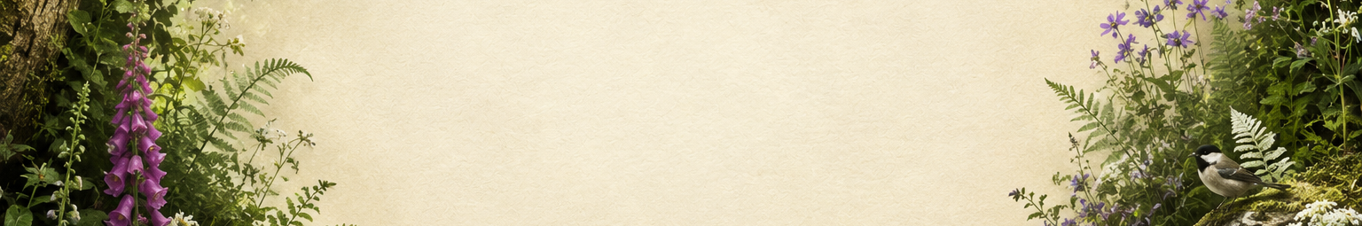 11111.png