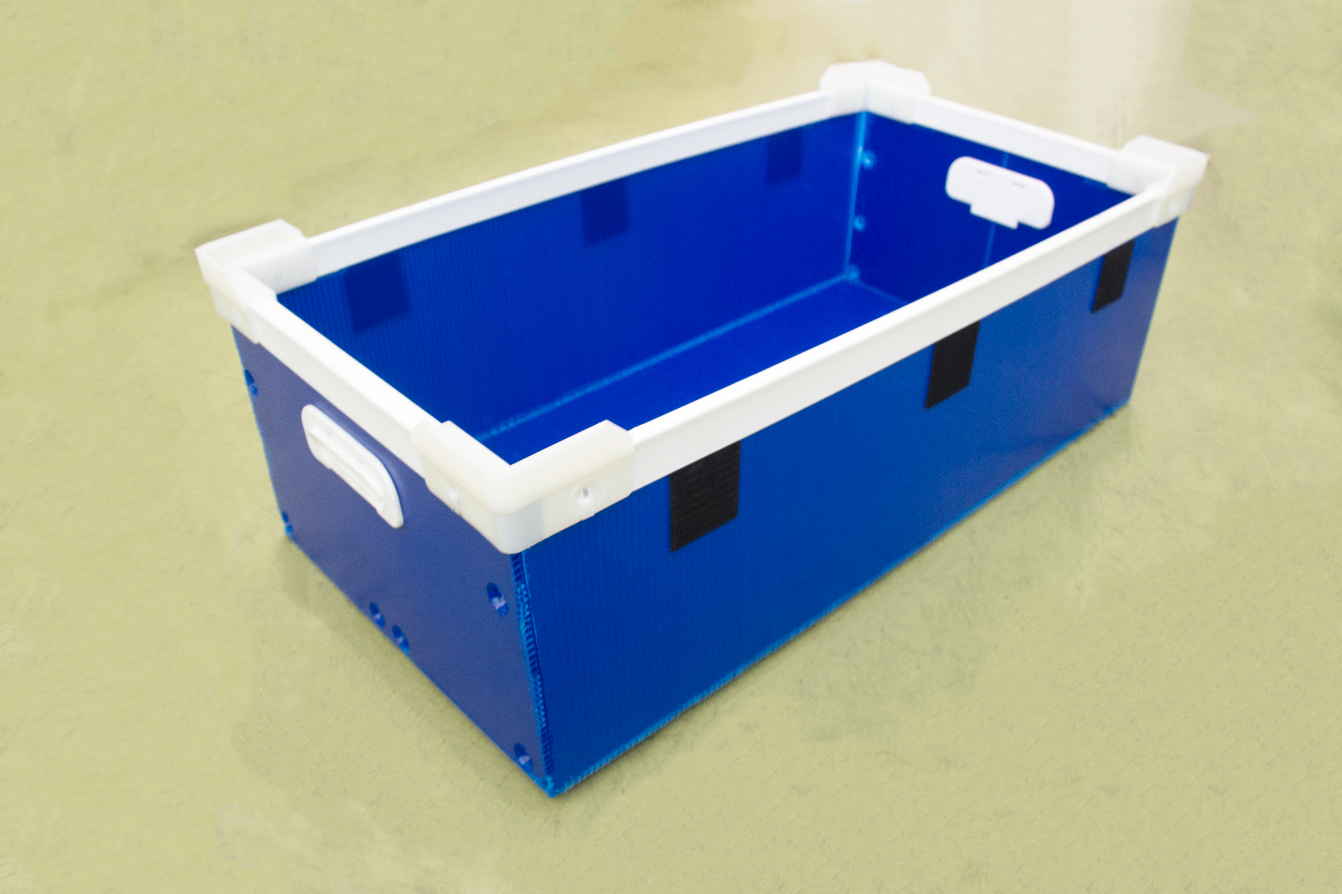 IMG_7115 (1).png