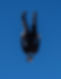 speed skydiving brianne thompson.jpg