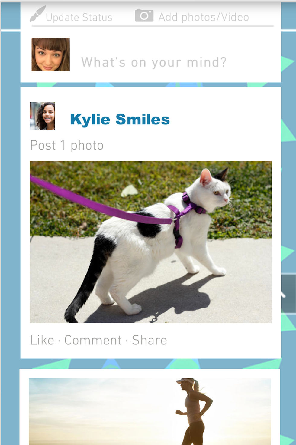 Kylie Cat.jpg