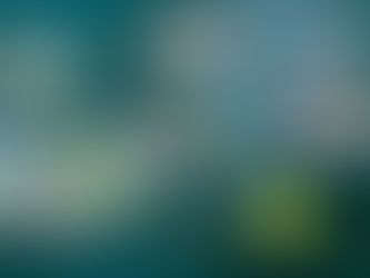 ב׳ - באנרים (א׳-ב׳ בעיצוב ומיתוג)