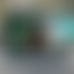 מדיניות פרטיות לאתר - מה באמת חייבים לדעת ולעשות בפועל?