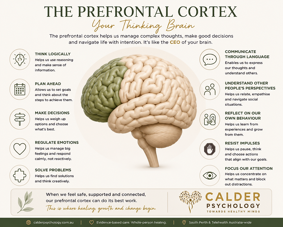 Three Brain Systems: The Thinking Brain: Your Inner Problem Solver