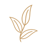 21.png