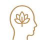14.png