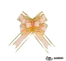 โบว์พลาสติกสำเร็จรูป-01