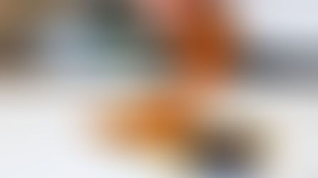 Birria in 18 Minutes  (Seasoning and Quesatacos)