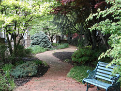Downtown Pocket Park