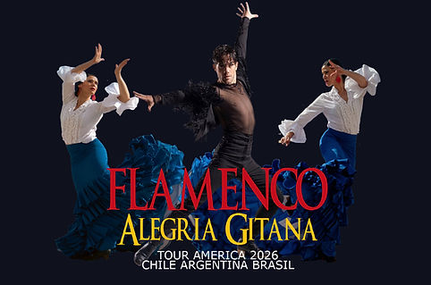 FLAMENCO2.jpg