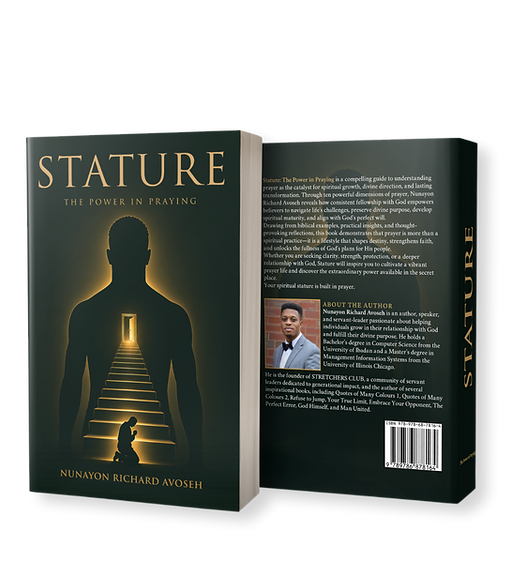 mockup stature.png