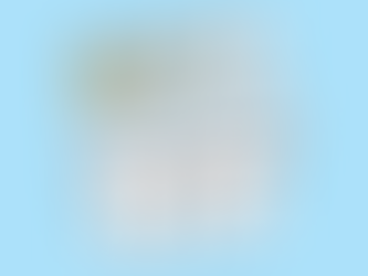 Teeth Whitening in Dental Care Practices