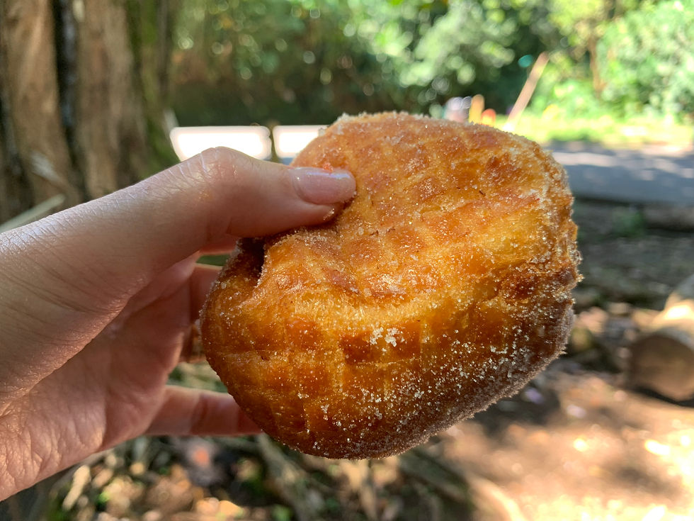 Must Have Malasadas!