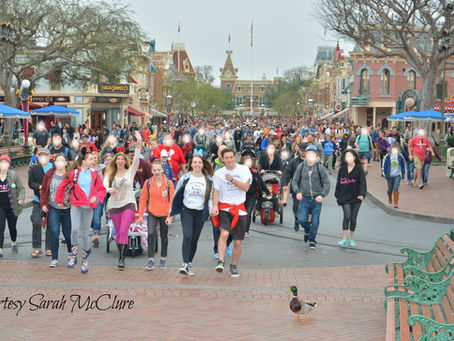 "Rope Drop" at Walt Disney World: a Magical Head Start!