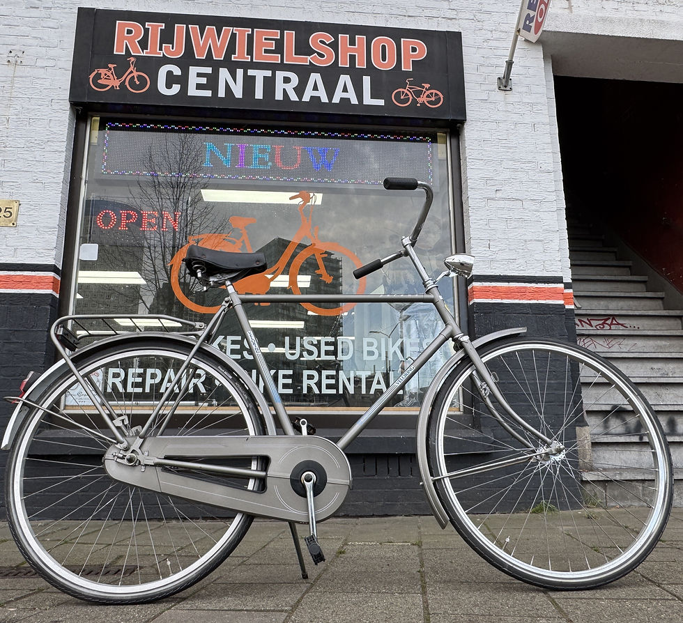 Veloring Paloma Herenfiets