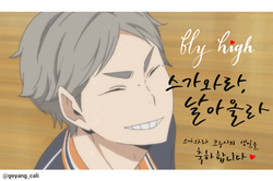 고양