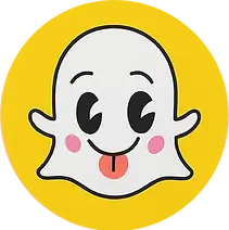 snap_300x.webp