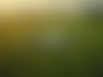 Equipos agrícolas innovadores para el futuro sostenible