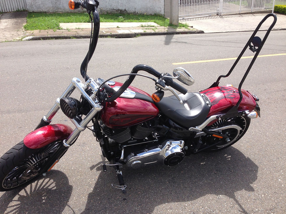 Sissy bar EasyRiders Harley Davidson Breakout