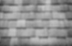 Roof BG.jpg