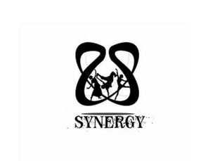 Synergy @SSE