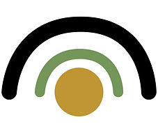 Website ontwerp voor praktijk Fijn in Zijn Haptonomie