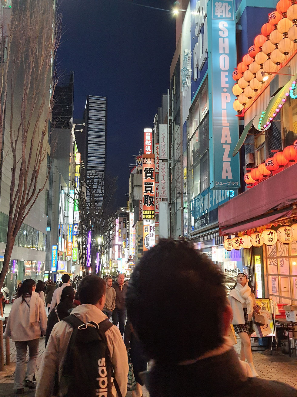 Wieczorna ulica w Shinjuku / Night street In Shinjuku