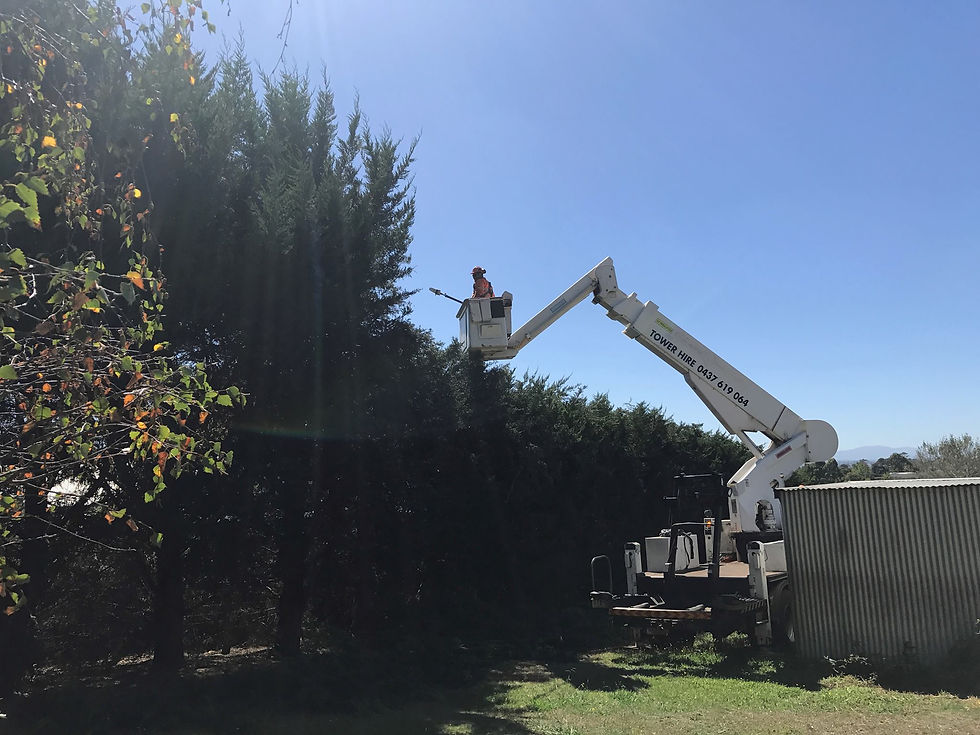Hedging Works