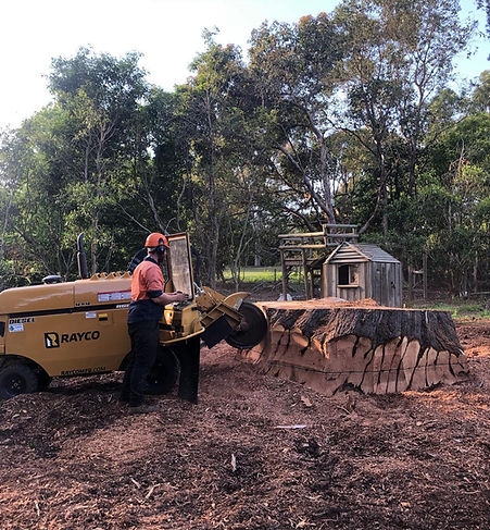Remove your unsightly tree stumps with Gippy Tree Services