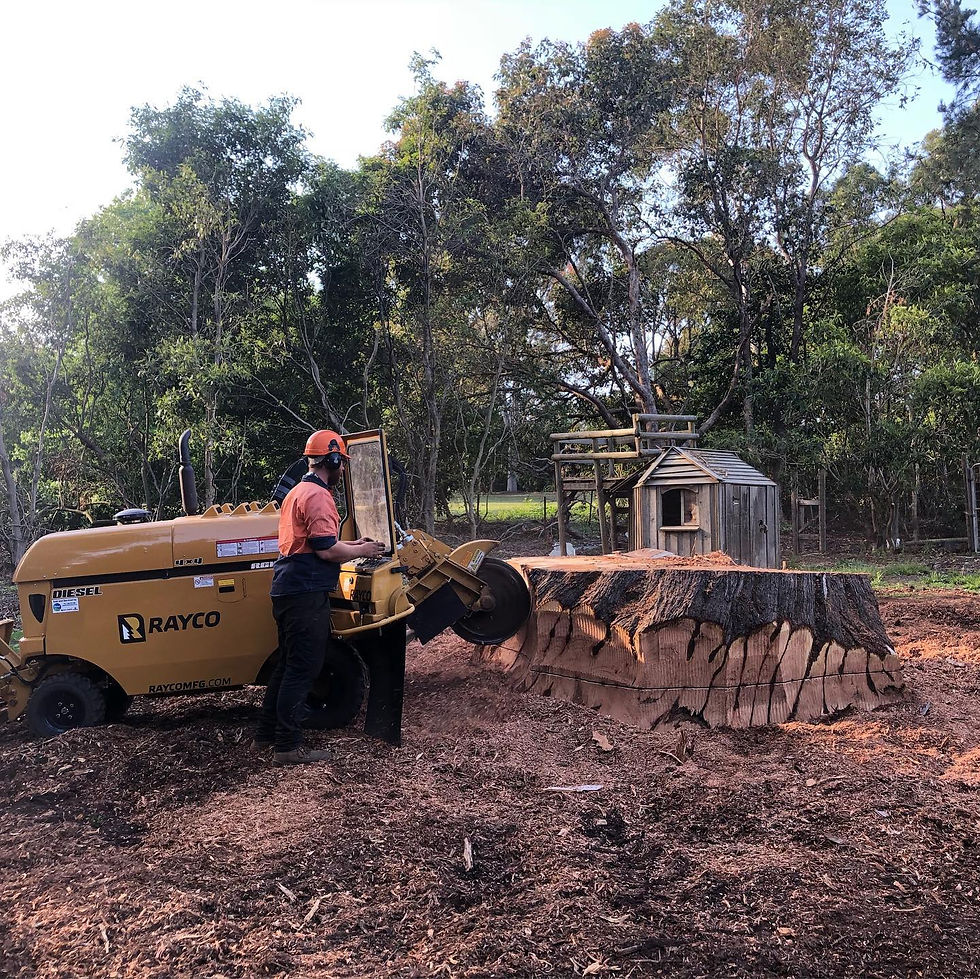 Stump grinding