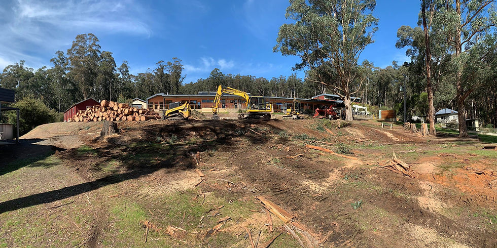 Site clearing at a local school