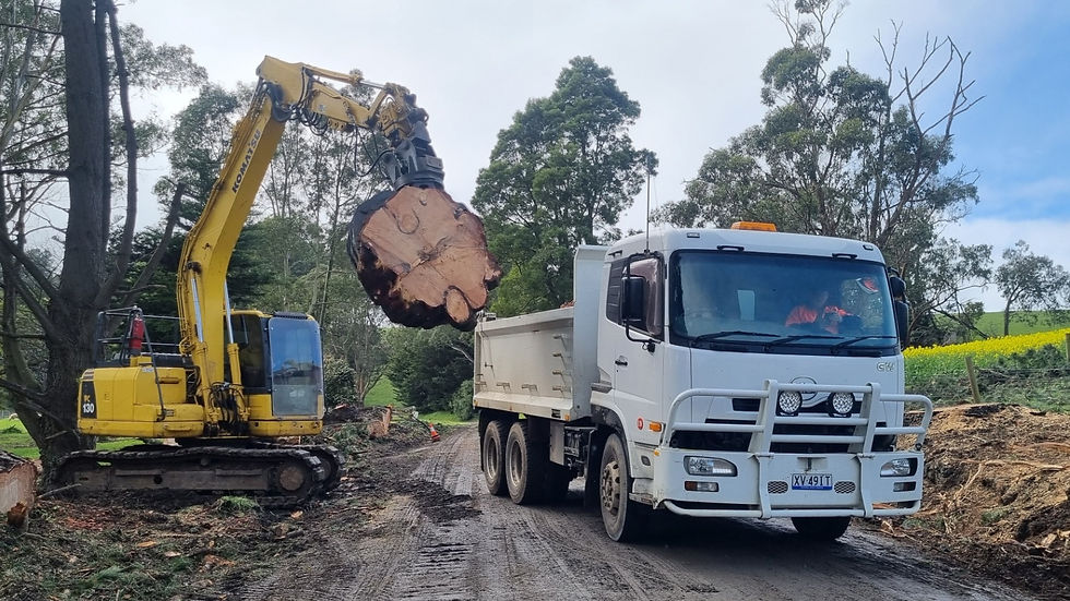 Loading logs