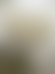 I Love Everything But Myself