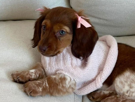 The Eternal Winter Solstice