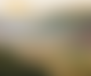 800 gardiennes du Rhône