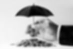 vermögenschutz.net