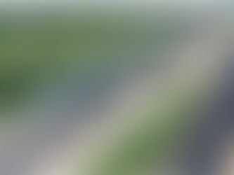 Tren Maya: Probar Mariscos Frescos en Puerto Morelos