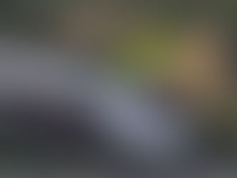 Unas 4 horas cruzando la península en el Tren Maya