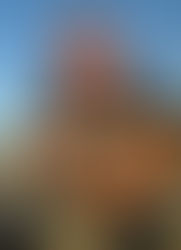 Writers Inspiring Change feature author: Niklas Alm, author of The Apple Tree Theory