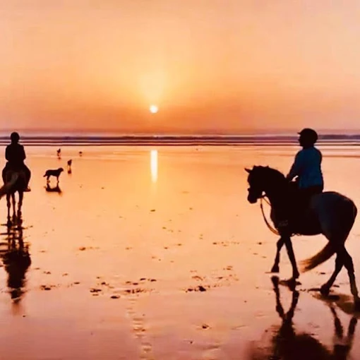 Séjour Sidi Kaouki Essaouira : cheval, bien-être & riad